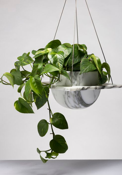 gardeningknowhow com