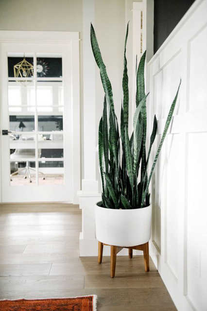 leedyinteriors com