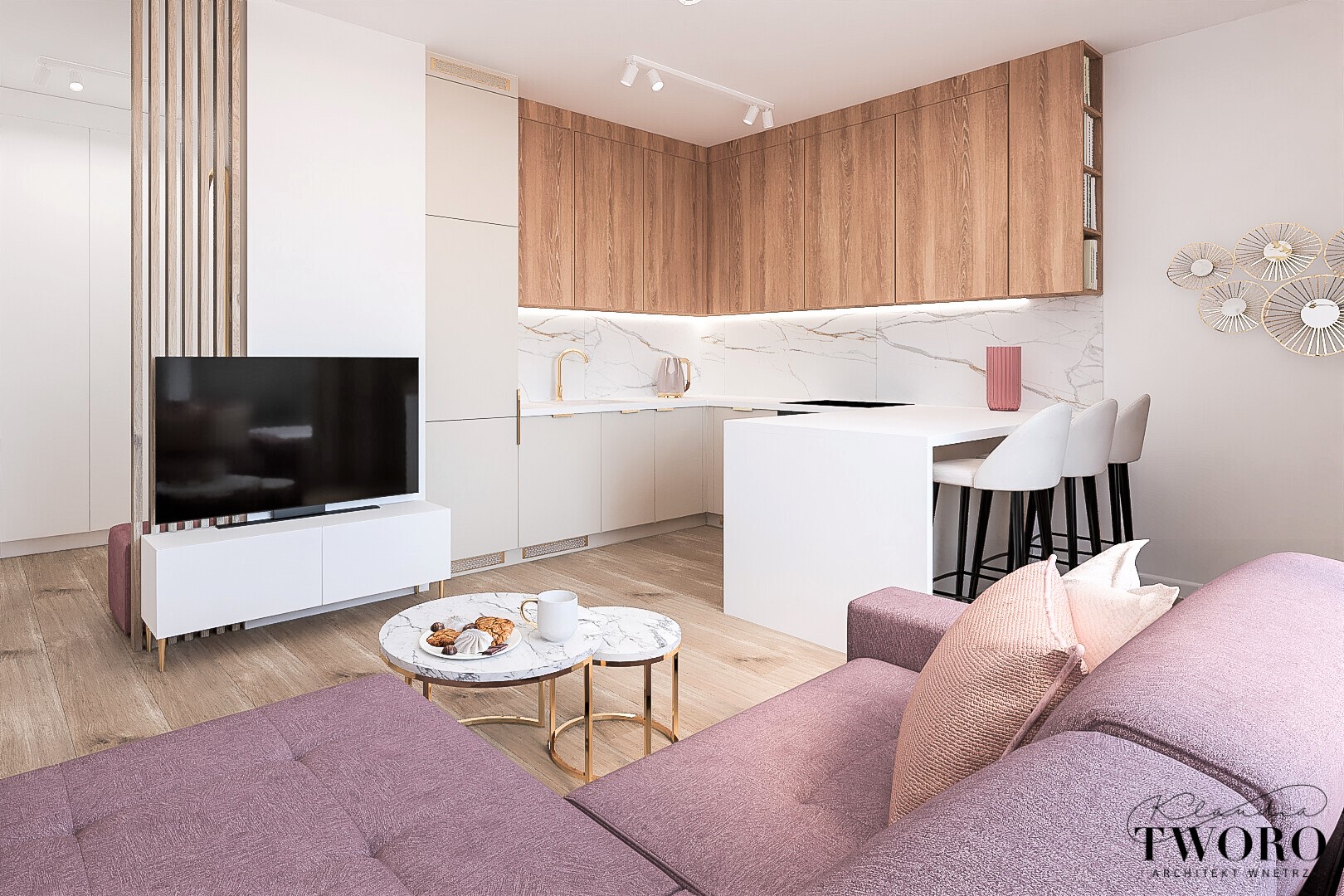 Manupark – Projekt Mieszkania Na Wynajem